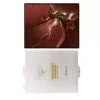 VOLTE-TEL PET SOFT FILM FOLDABLE HUAWEI MATE XT ULTIMATE 5G 10,2in ΑΘΡΑΥΣΤΗ ΜΕΜΒΡΑΝΗ ΕΣΩΤΕΡΙΚΗΣ ΟΘΟΝΗΣ 0,20mm FULL COVER